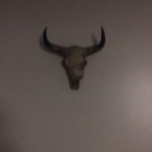 Meet your Posher, Bradley